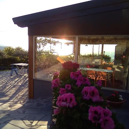 Seacily Etna House Villa Piedimonte Etneo Bagian luar foto