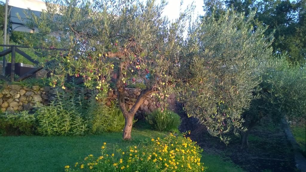 Seacily Etna House Villa Piedimonte Etneo Ruang foto